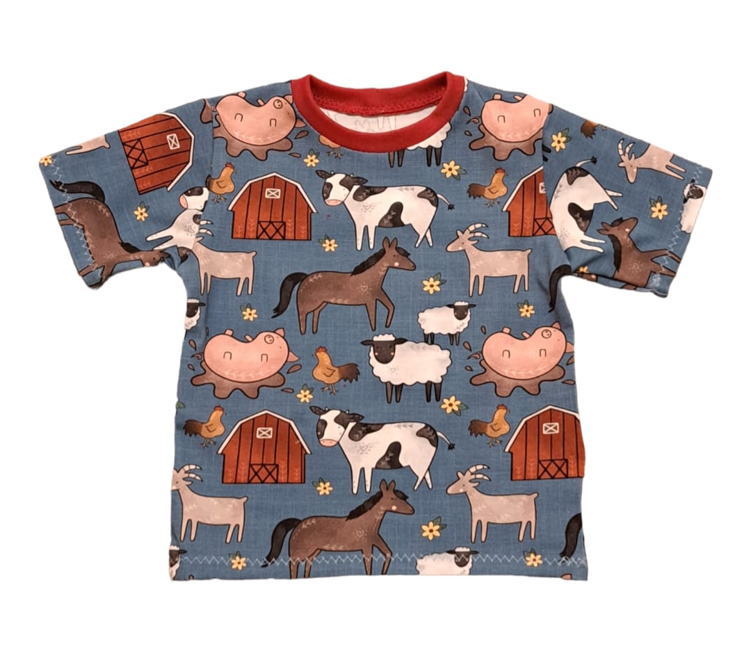 Short Sleeved T-shirts- Ages 4-6 Years